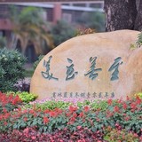 深圳市星河学校
