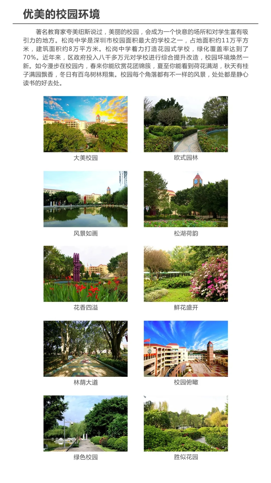 6松岗中学.webp.jpg