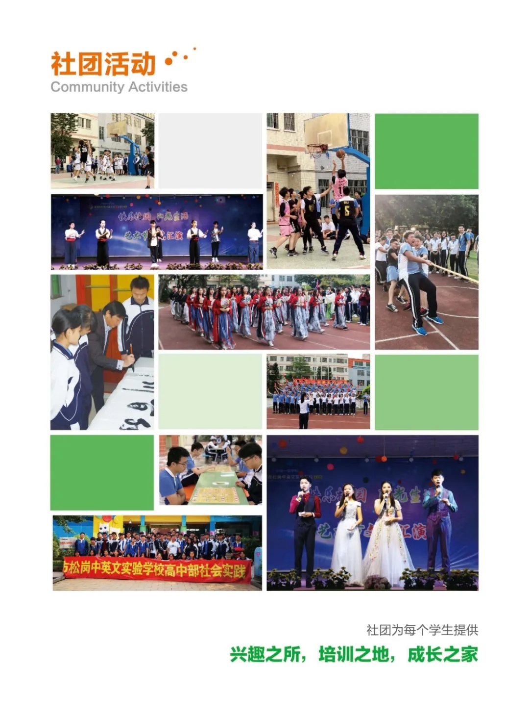 6深圳市松岗中英文实验学校.webp.jpg