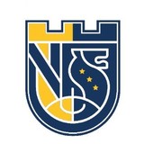 深圳市中新中学