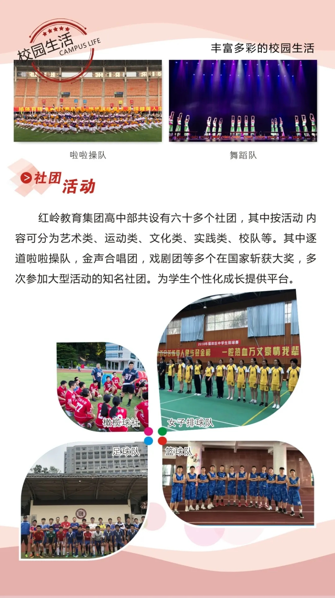 5红岭中学.webp.jpg