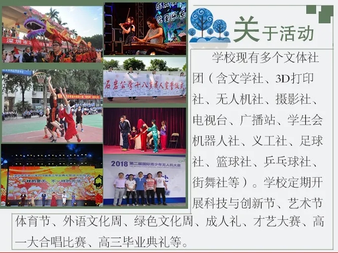 6深圳市石岩公学（公办班）.webp.jpg