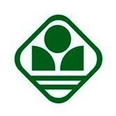 深圳中学初中部