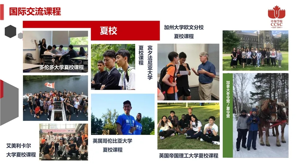 5深圳（南山）中加学校.webp.jpg