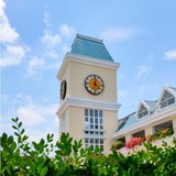 新亚洲学校